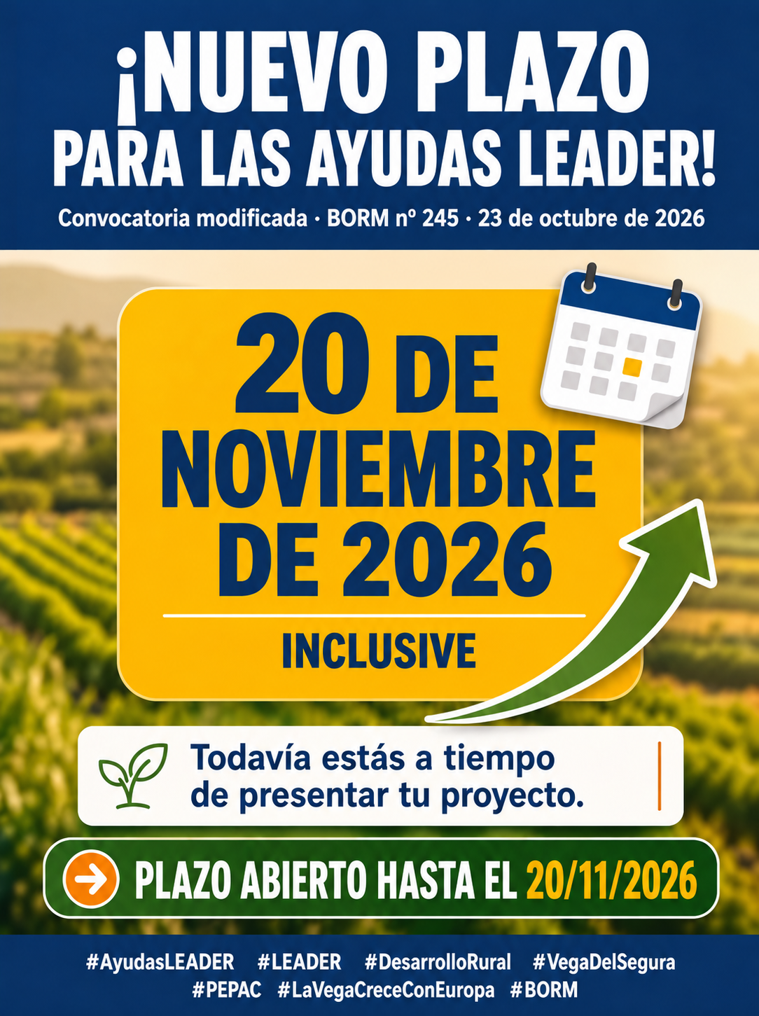 NUEVA MODIFICACION DEL PLAZO DE PRESENTACIÓN DE SOLICITUDES DE AYUDAS LEADER